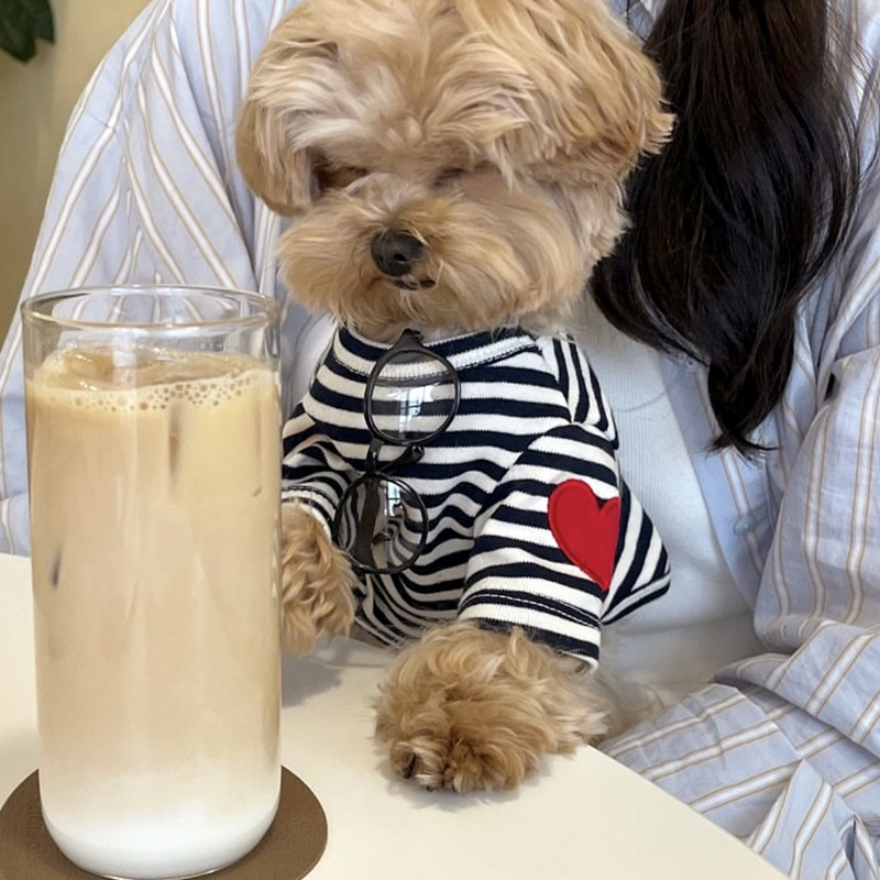 Dog Vest for Small Dogs Pet Do - Sleeveless Undershirt review and price